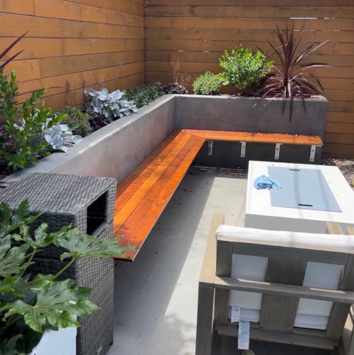 Modern courtyard with concrete planters, integrated wooden bench seating, succulents and ornamental grasses