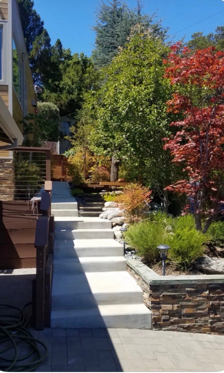 Hillside garden pathway with concrete steps, stone retaining wall, Japanese maple plantings and uplighting