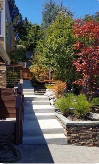 Hillside garden pathway with concrete steps, stone retaining wall, Japanese maple plantings and uplighting