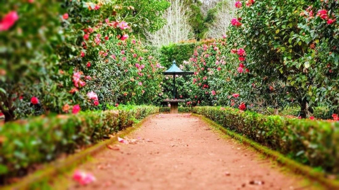 Beautiful garden landscape with lush greenery and stone pathways designed by Eden Garden Design Group